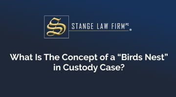 What Is The Concept of a "Birds Nest" in Custody Case?
