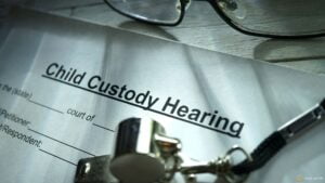 Custody Evaluations