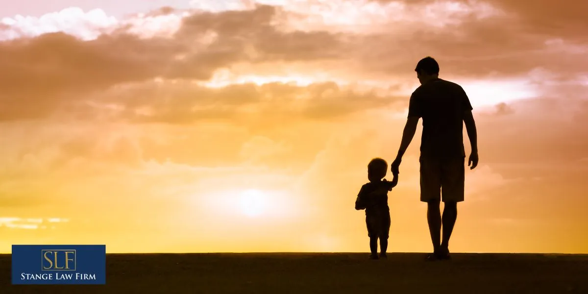 What are a father's rights in Illinois?